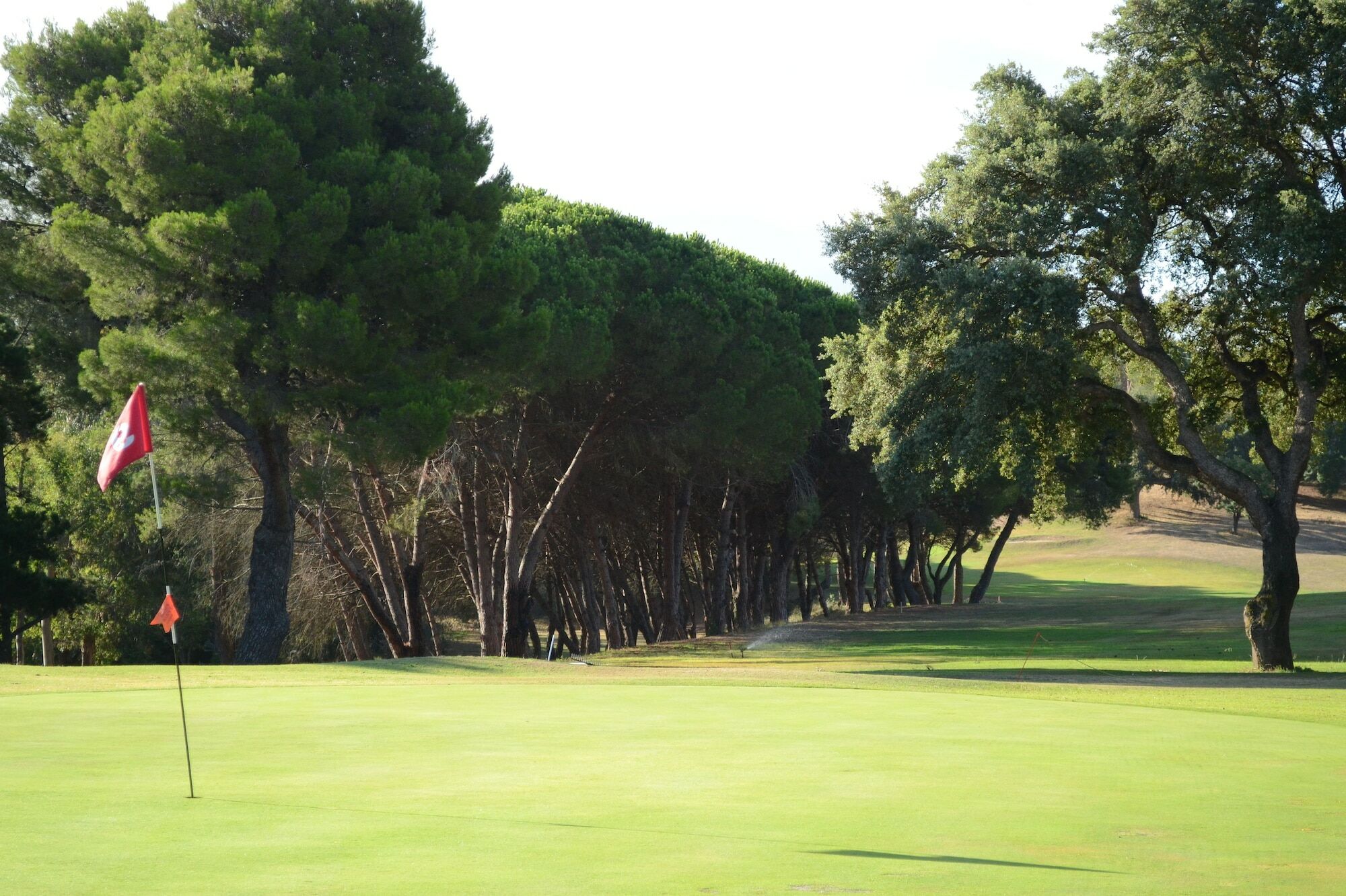 Allegroitalia Elba Golf Portoferraio Zewnętrze zdjęcie